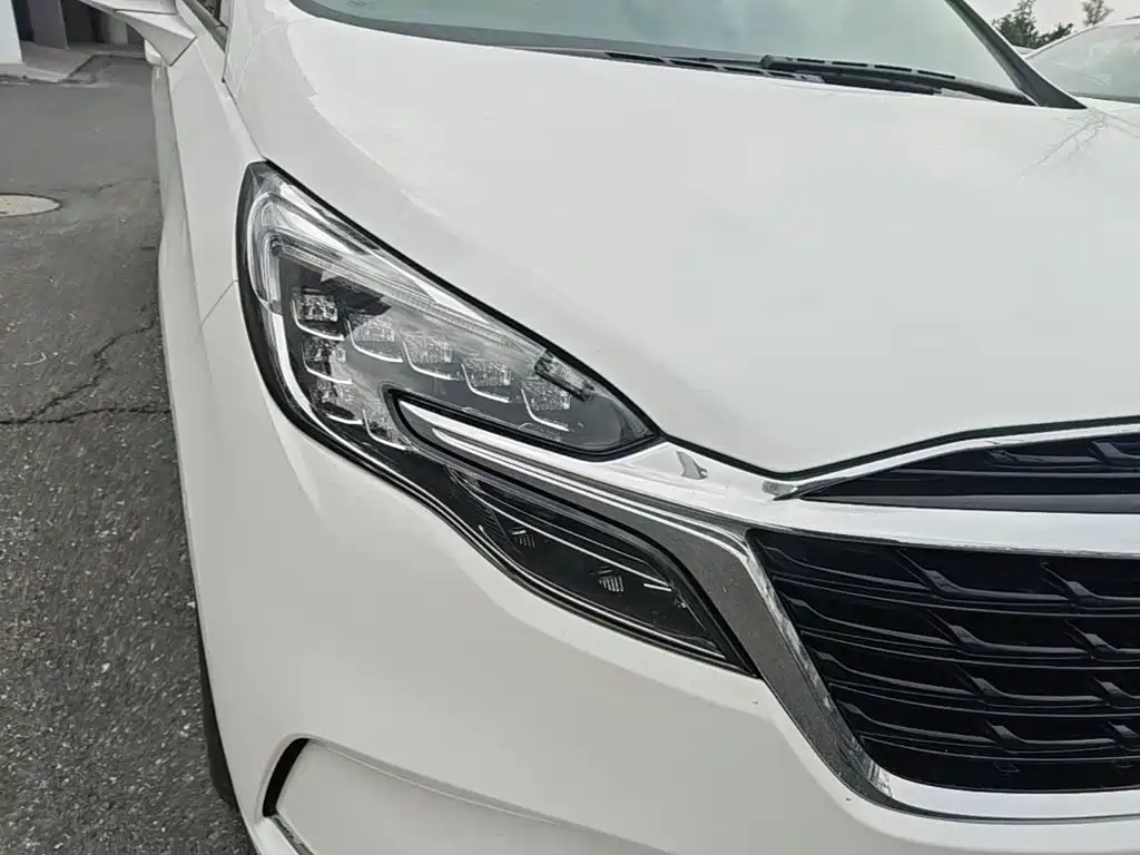 Buick GL8 — миниатюра 11