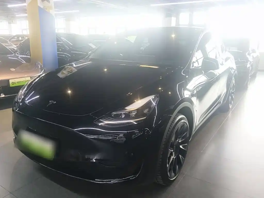 Tesla Model Y — миниатюра 2