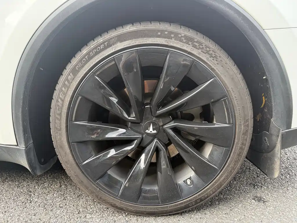 Tesla Model Y — миниатюра 15