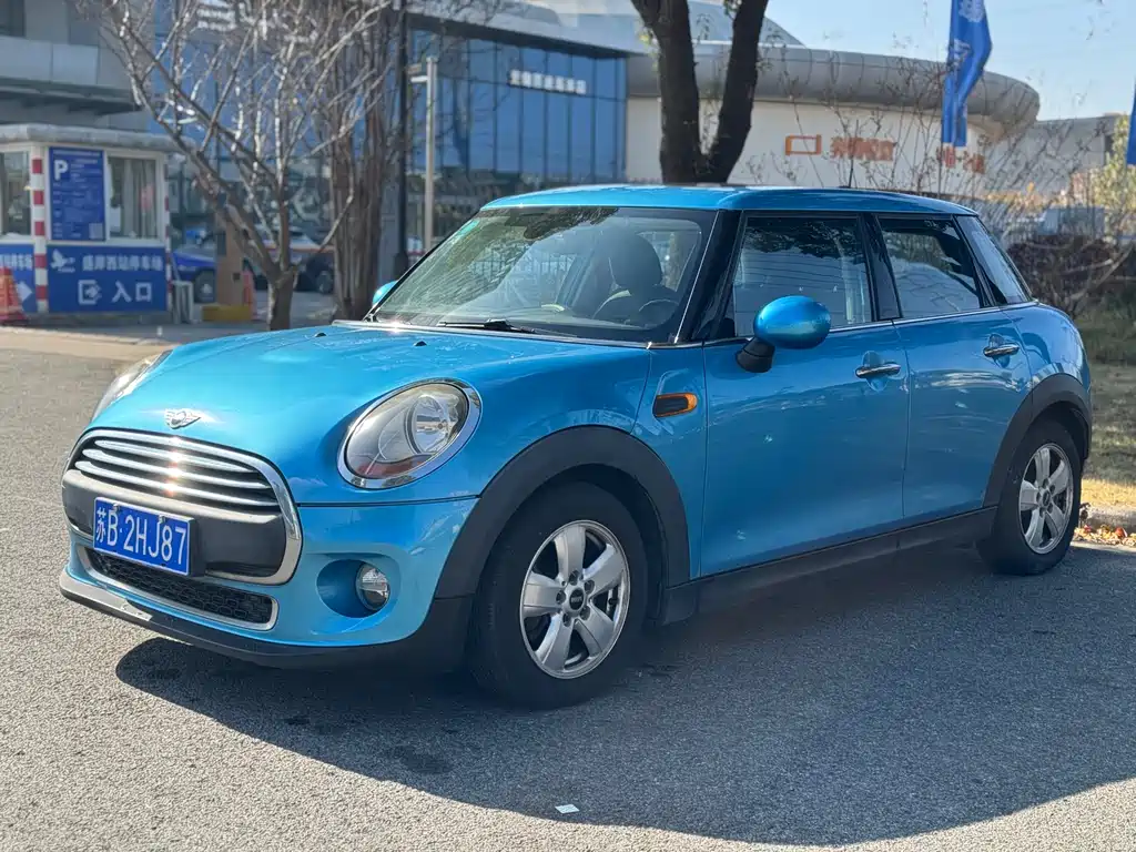Mini Mini 2015