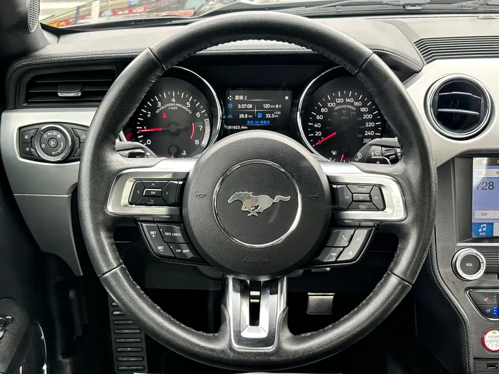 Ford Mustang — миниатюра 13