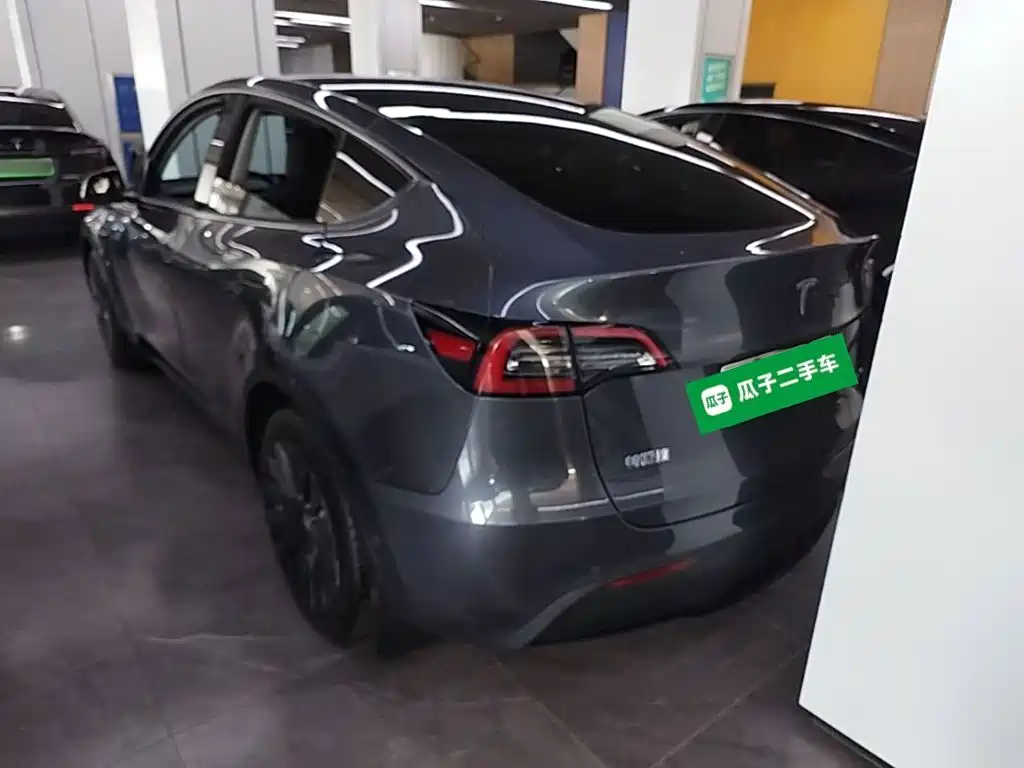 Tesla Model Y — миниатюра 6