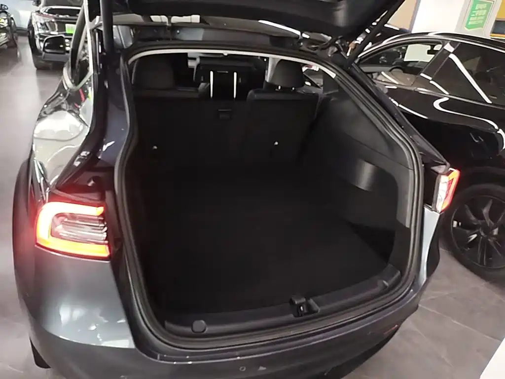 Tesla Model Y — миниатюра 19