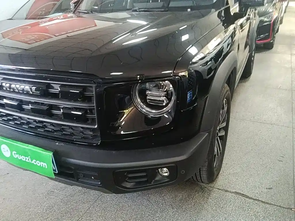 Haval Big Dog — миниатюра 24