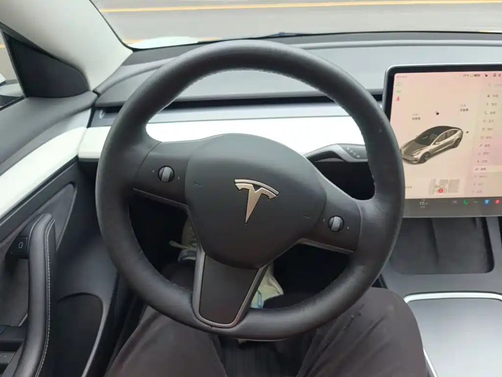 Tesla Model 3 — миниатюра 11