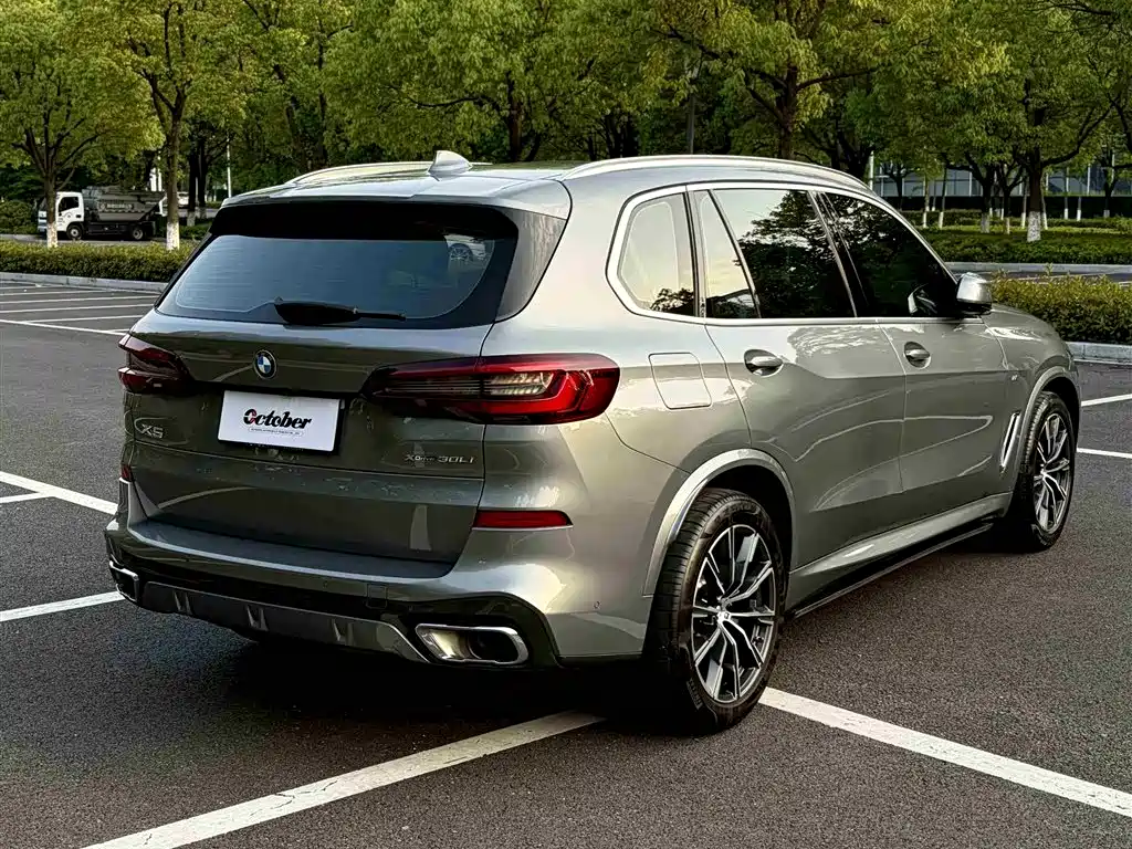 BMW X5 2022 xDrive 30Li Premium M Sport