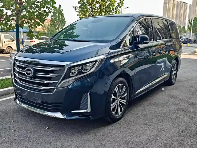 2020 GAC GN8