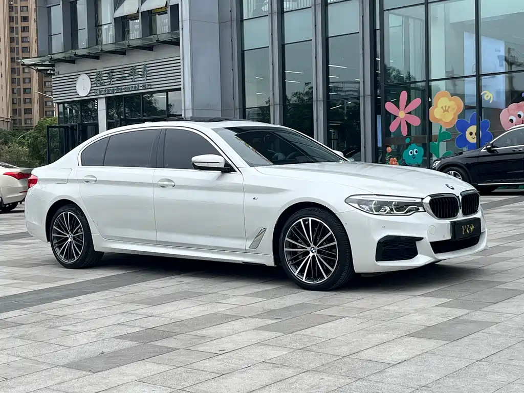 BMW 5 SERIES