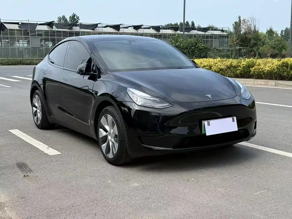 Tesla Model Y — миниатюра 3