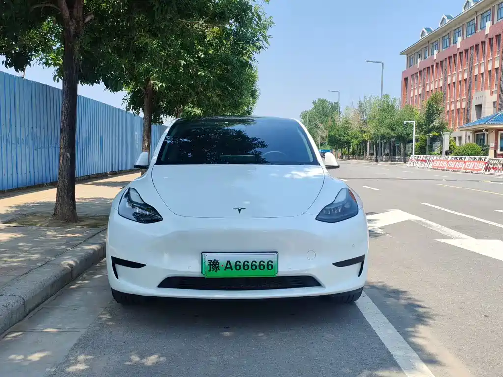 Tesla Model Y — миниатюра 2
