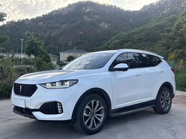 2019 Wey VV6