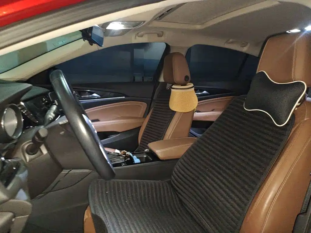 Buick Regal — миниатюра 11