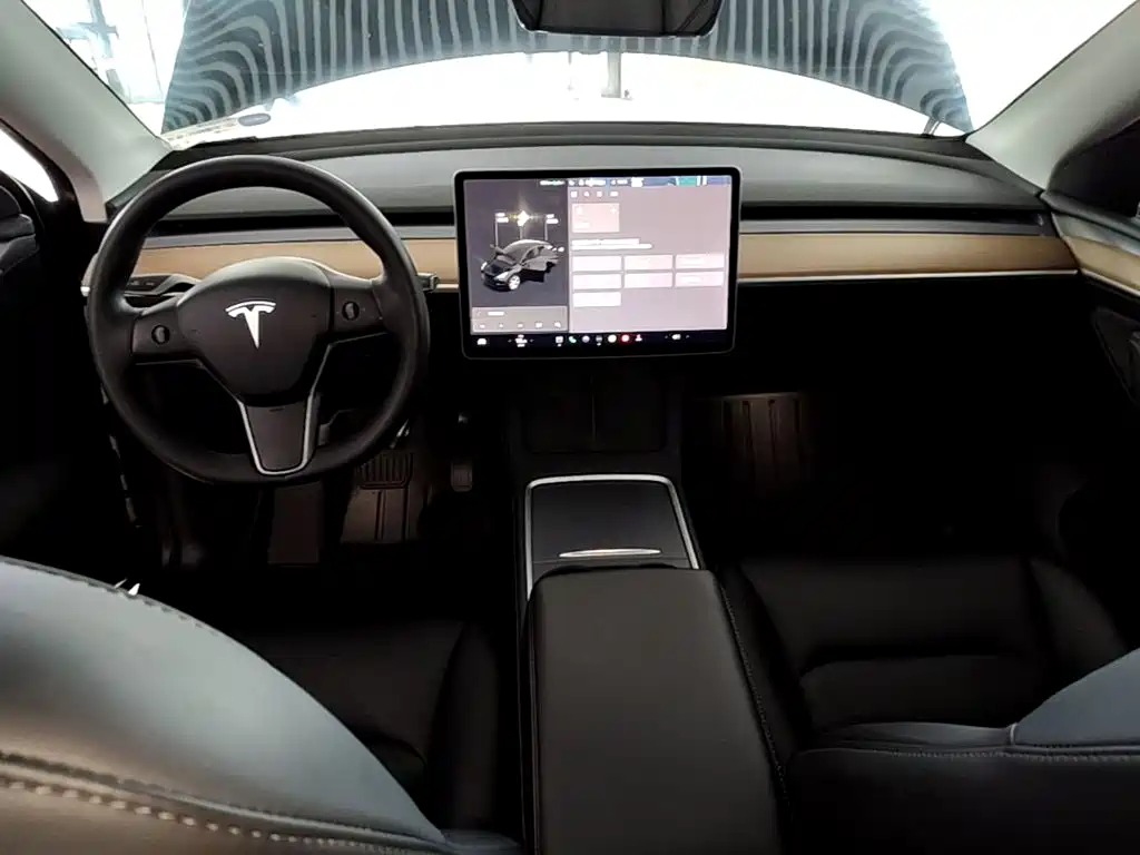 Tesla Model Y — миниатюра 10