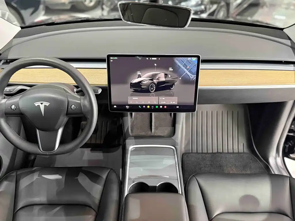 Tesla Model Y — миниатюра 9