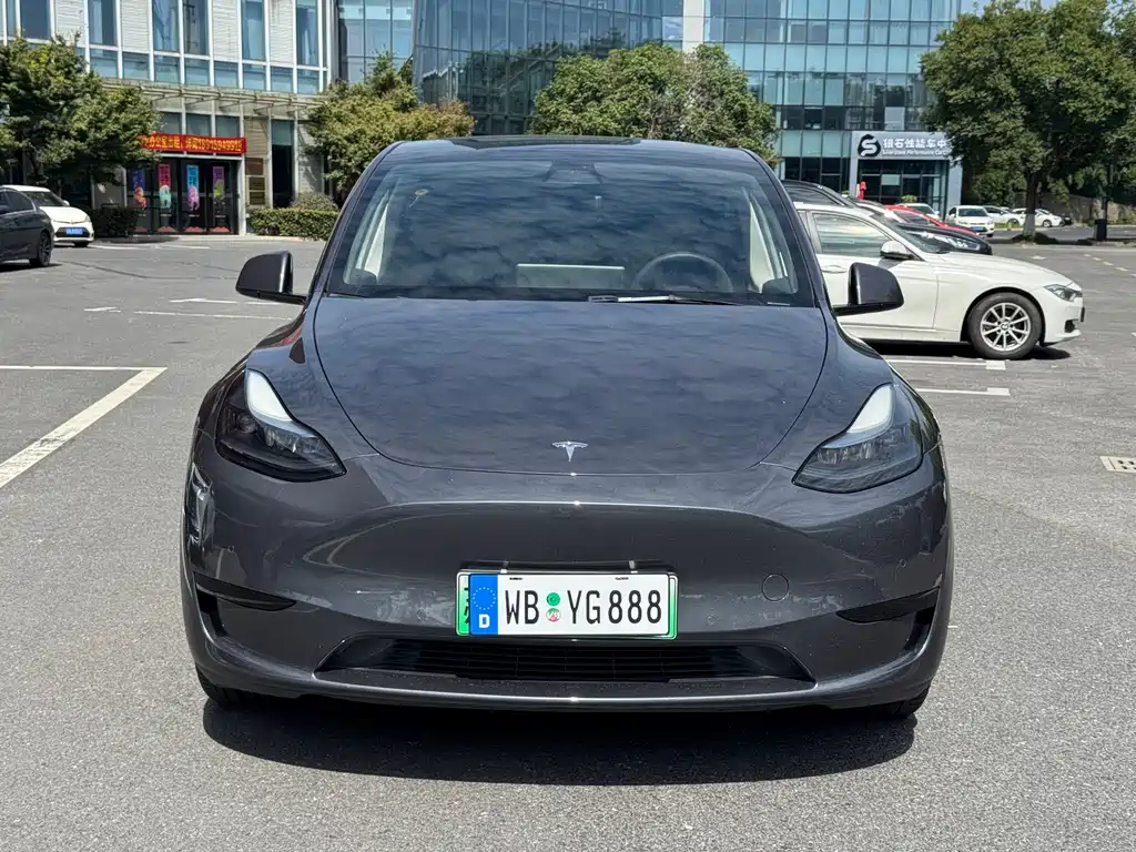 Tesla Model Y — фотографии объявления, Фото 2