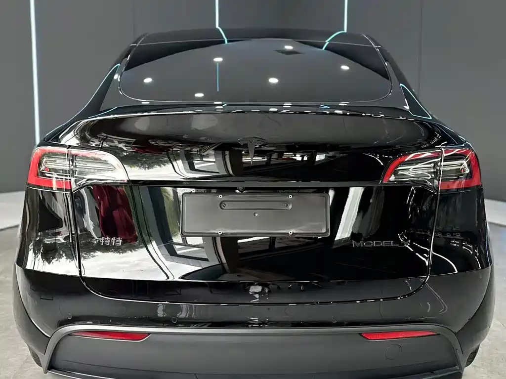 Tesla Model Y — миниатюра 7