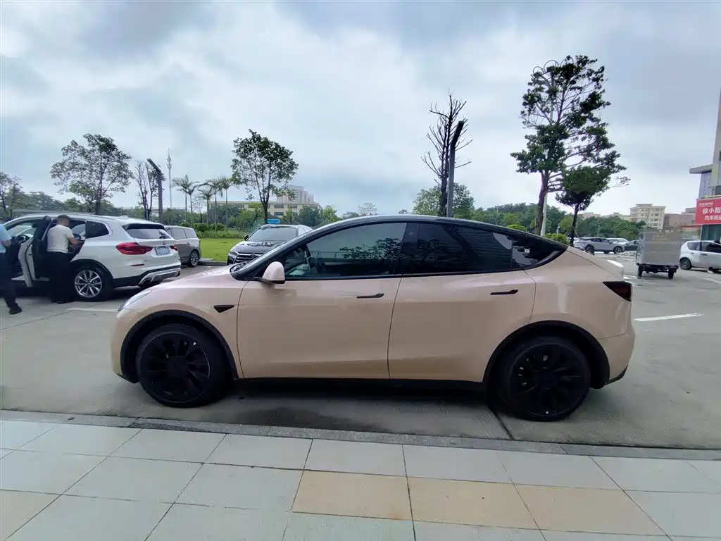 Tesla Model Y — миниатюра 3