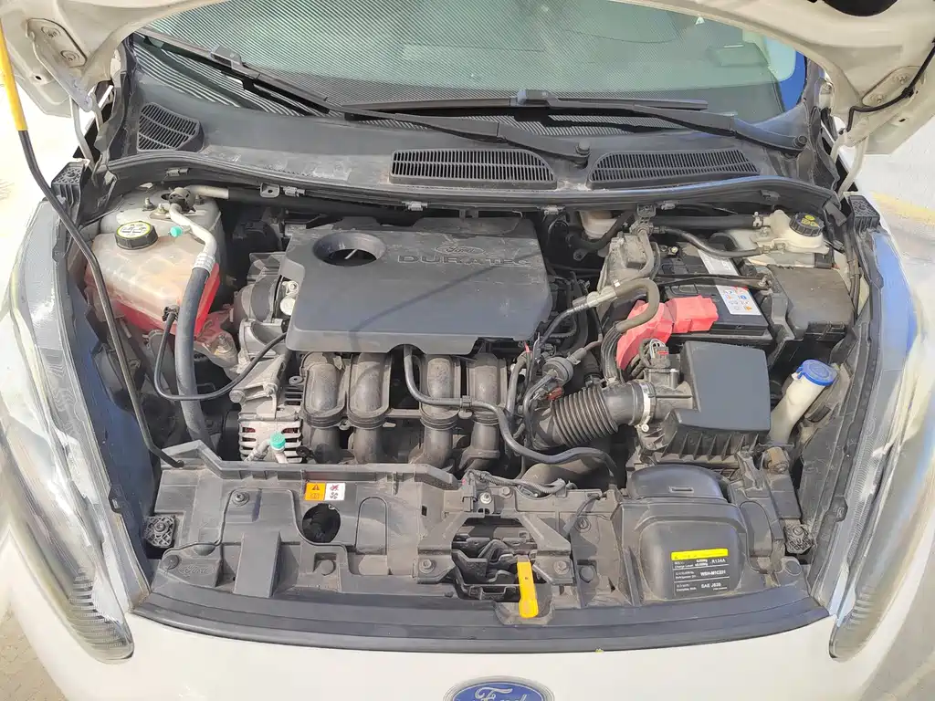 Ford Fiesta — миниатюра 18
