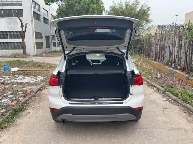 BMW X1 — миниатюра 8