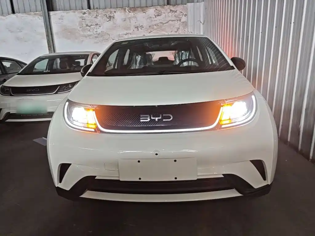 BYD Dolphin — миниатюра 3
