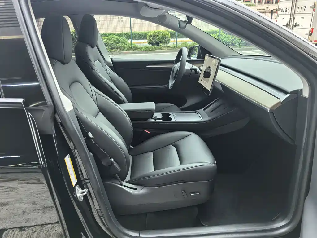 Tesla Model Y — миниатюра 7