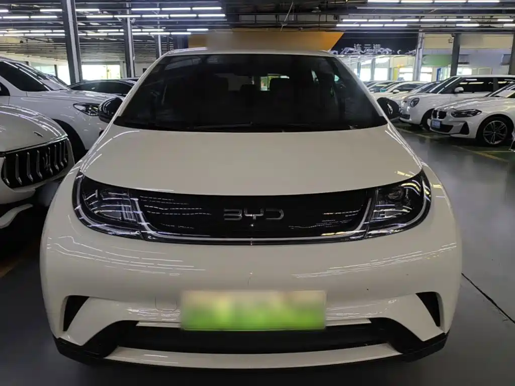 BYD Dolphin — миниатюра 3