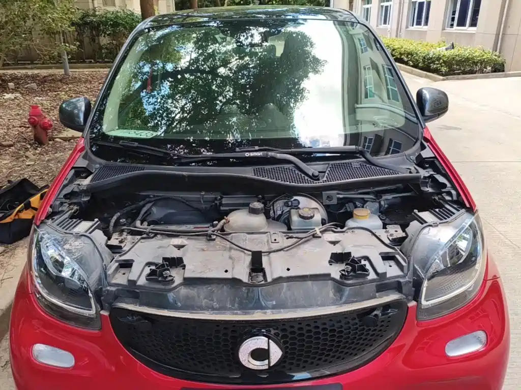 smart Smart Forfour — миниатюра 20
