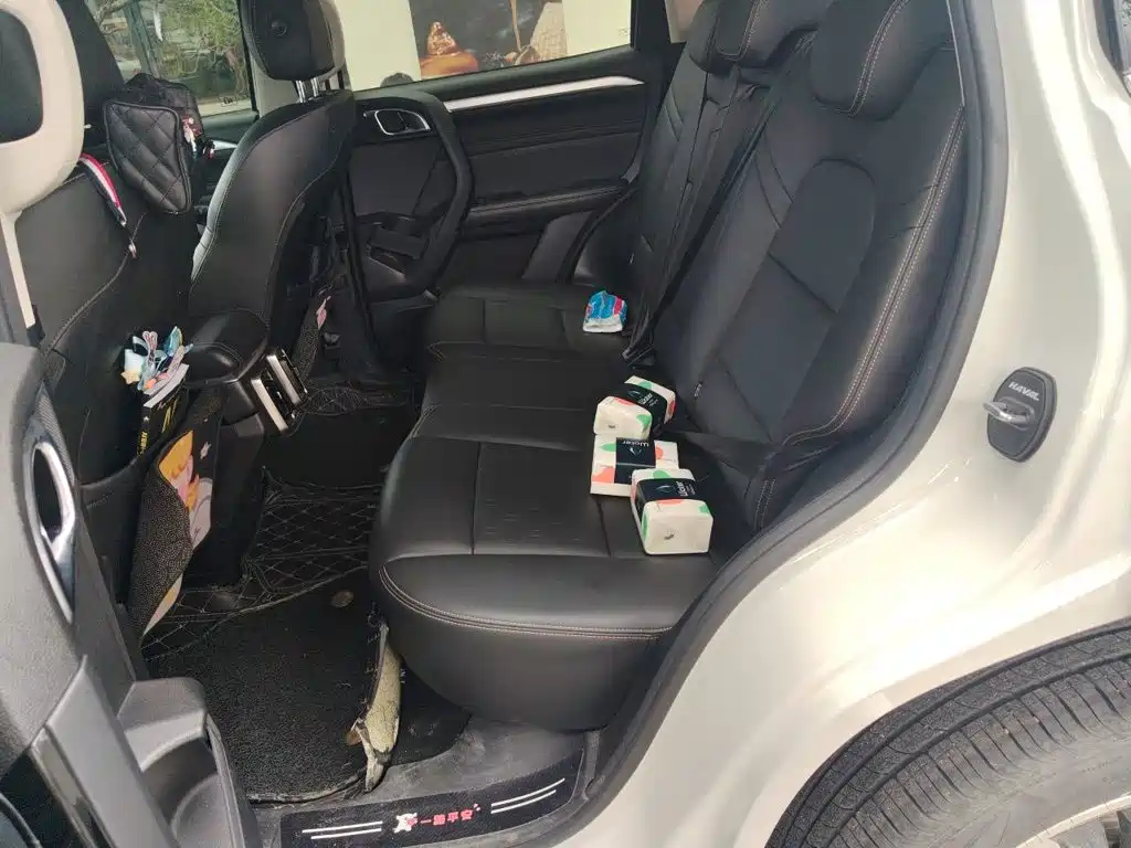 Haval Big Dog — миниатюра 15