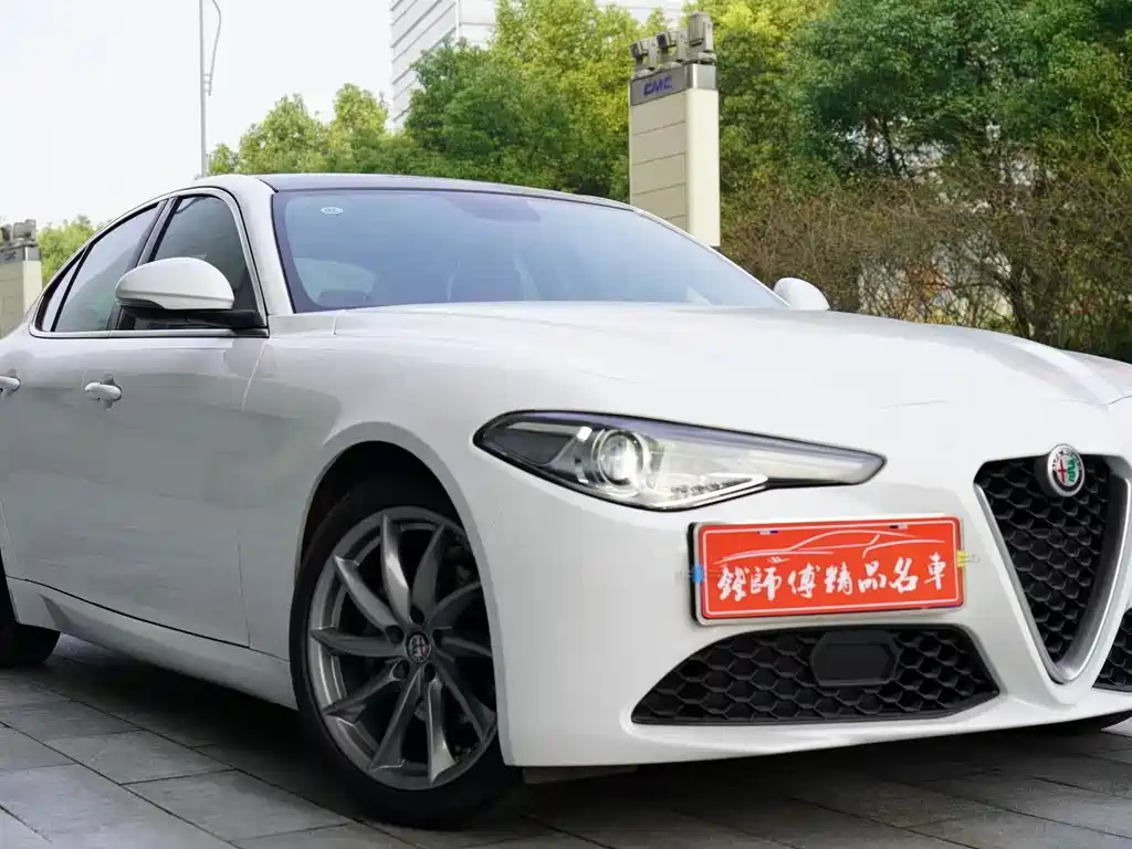 Alfa Romeo Giulia - фото 9