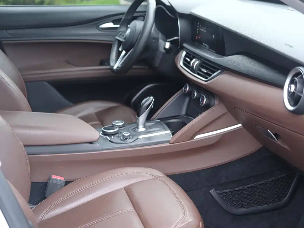 Alfa Romeo Stelvio 2.0T 200HP Luxury Edition, фото 10