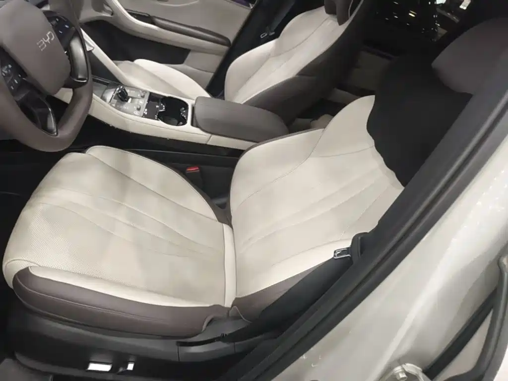 BYD PLUS New Energy — миниатюра 15