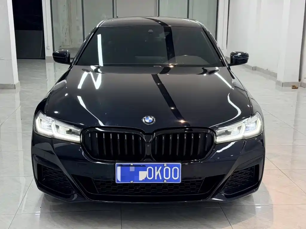 BMW 5 Series — миниатюра 3