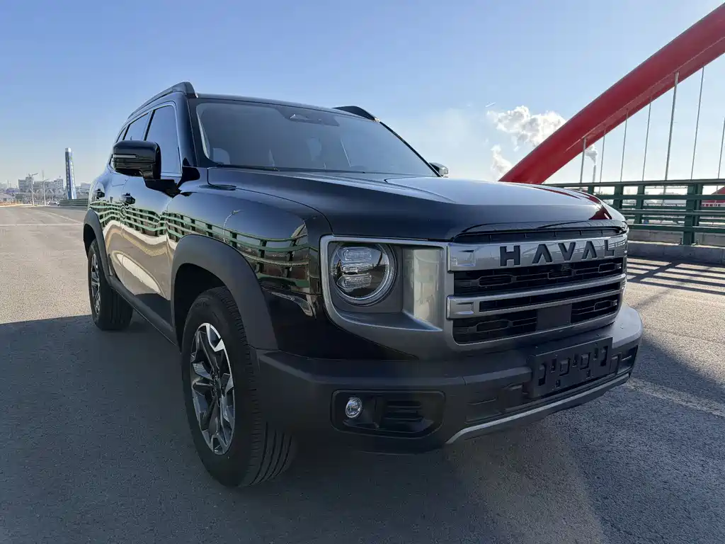 HAVAL BIG DOG