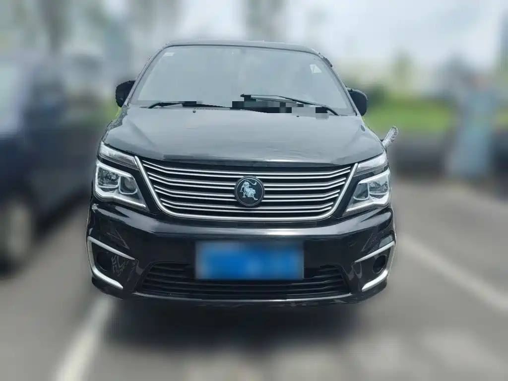 Fengxing Lingzhi — миниатюра 2