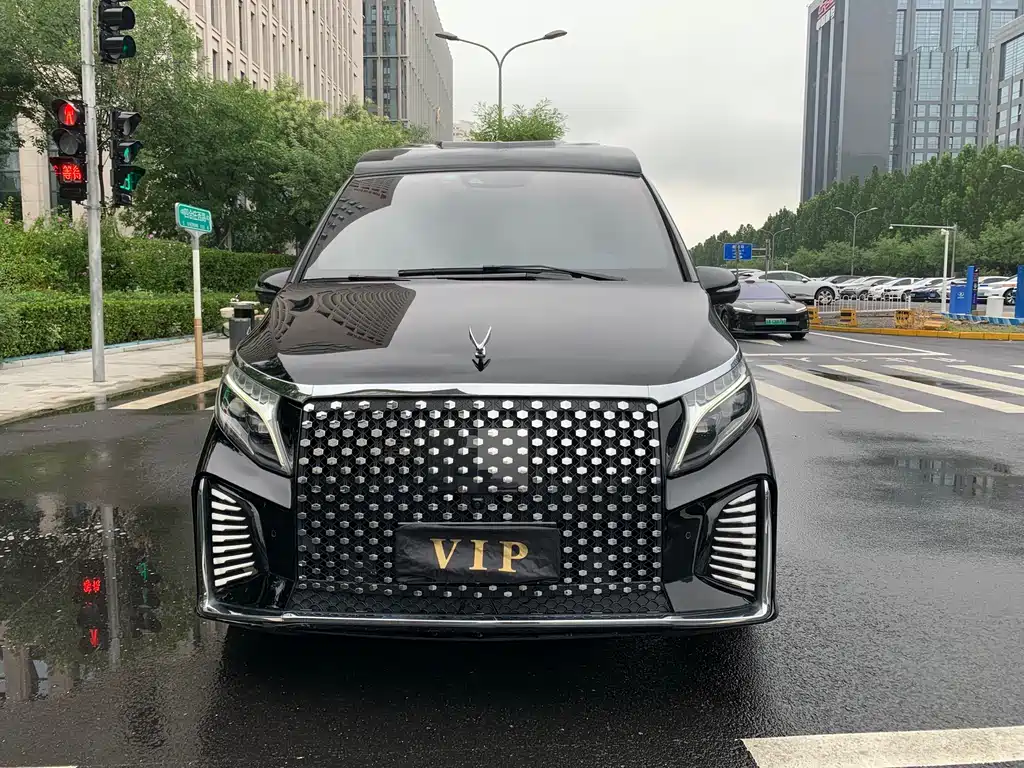 MERCEDES-BENZ V CLASS