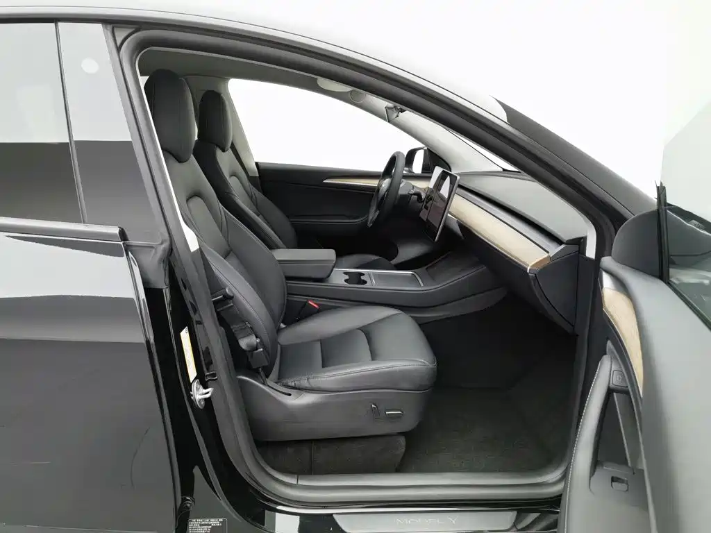 Tesla Model Y — миниатюра 23