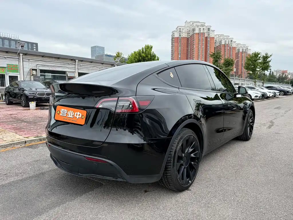 Tesla Model Y — миниатюра 13