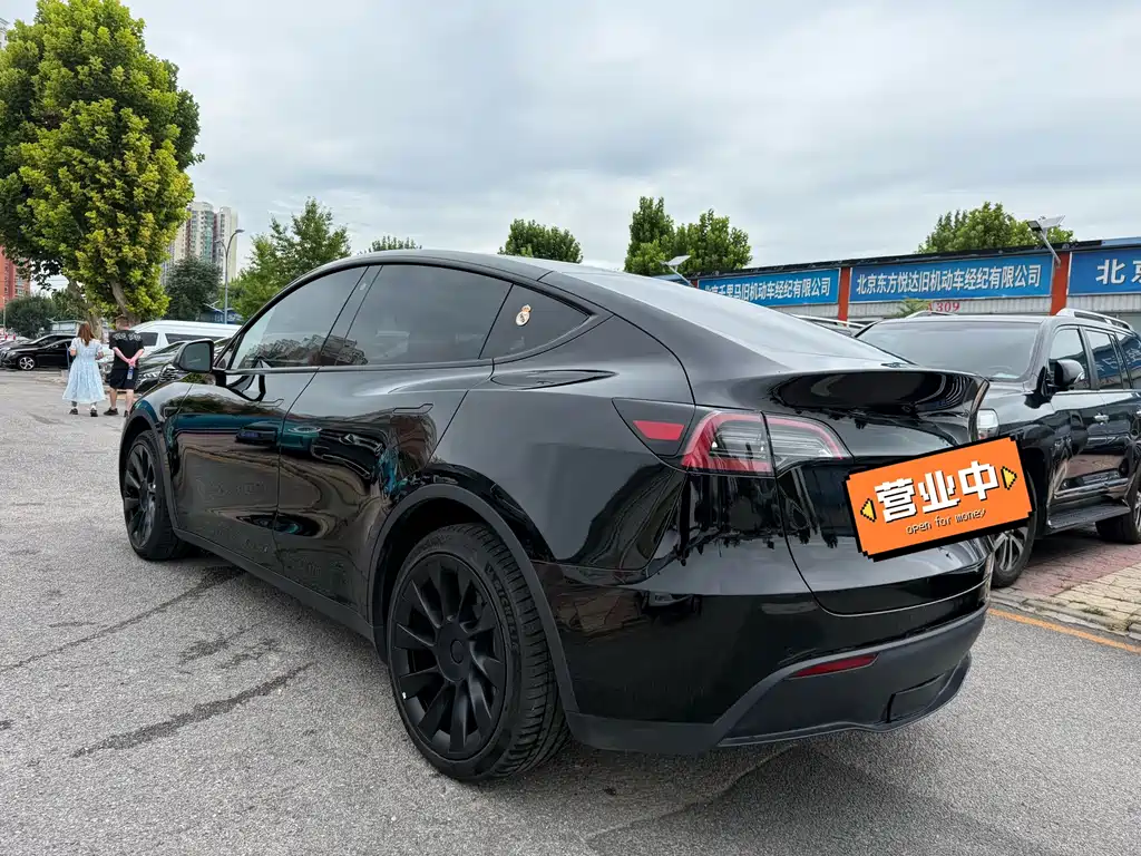 Tesla Model Y — миниатюра 15