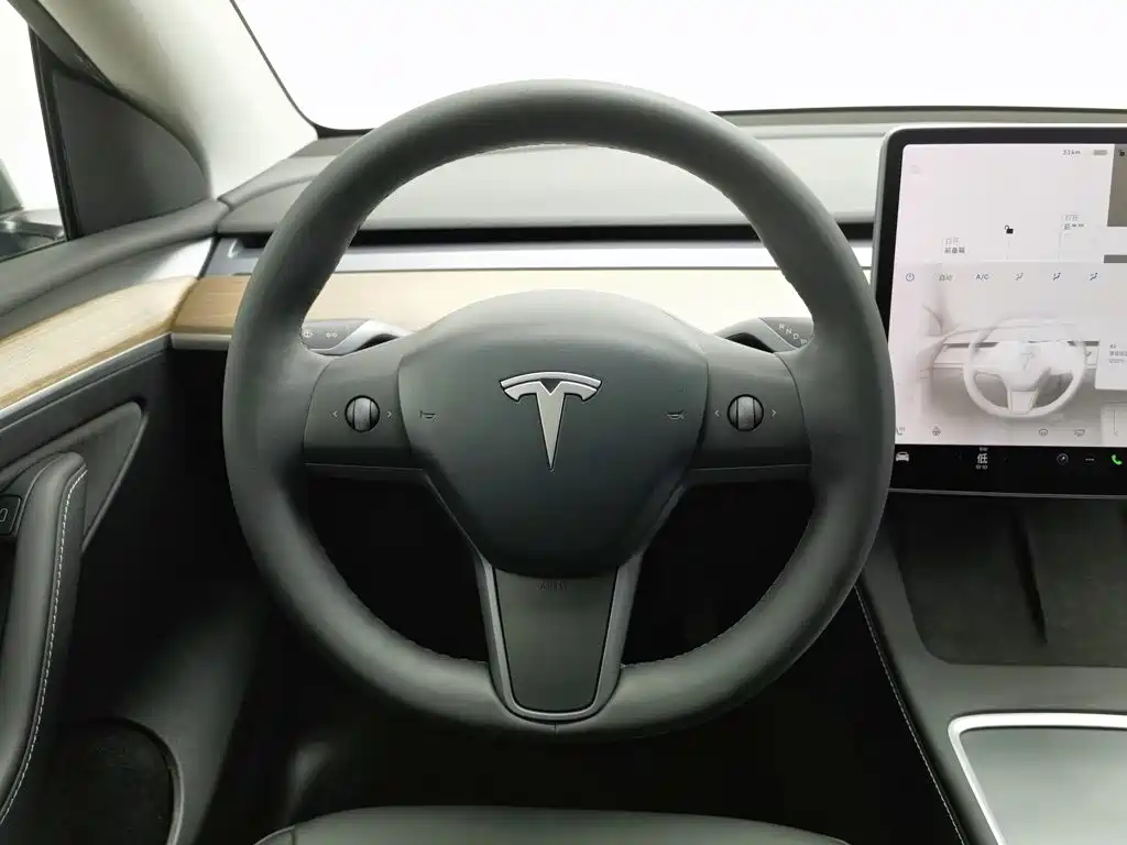 Tesla Model Y — миниатюра 11