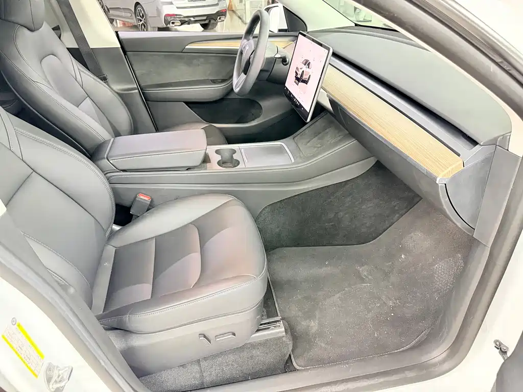 Tesla Model Y — миниатюра 9