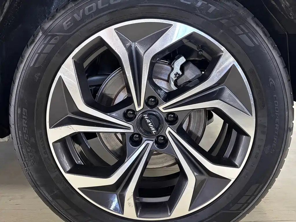 Haval Shenshou — миниатюра 12