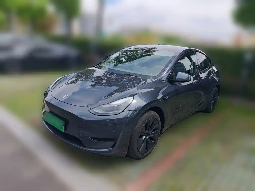 Tesla Model Y — миниатюра 2