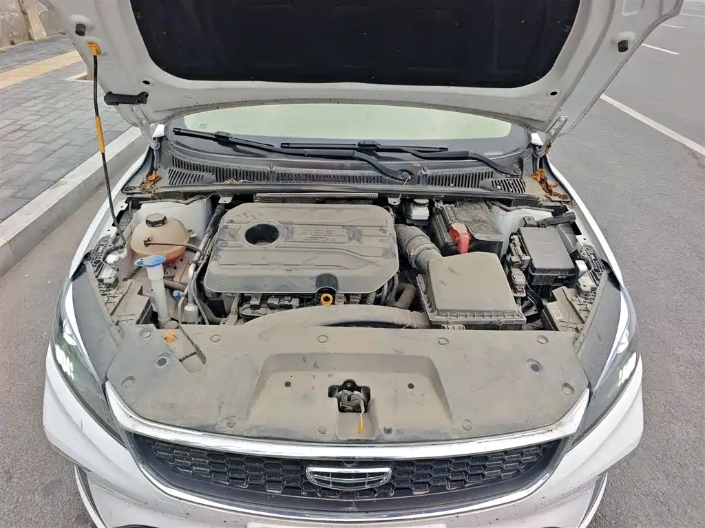 Geely Binrui - фото 20
