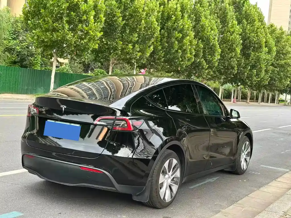 Tesla Model Y — миниатюра 3