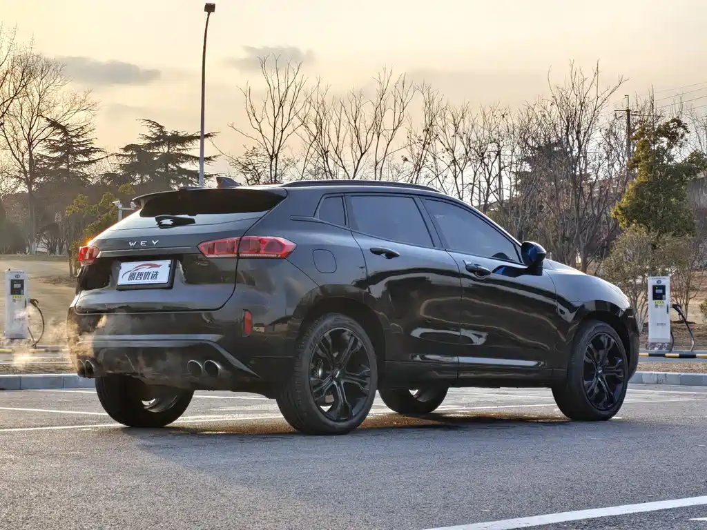 WEI PAI WEI BRAND VV7