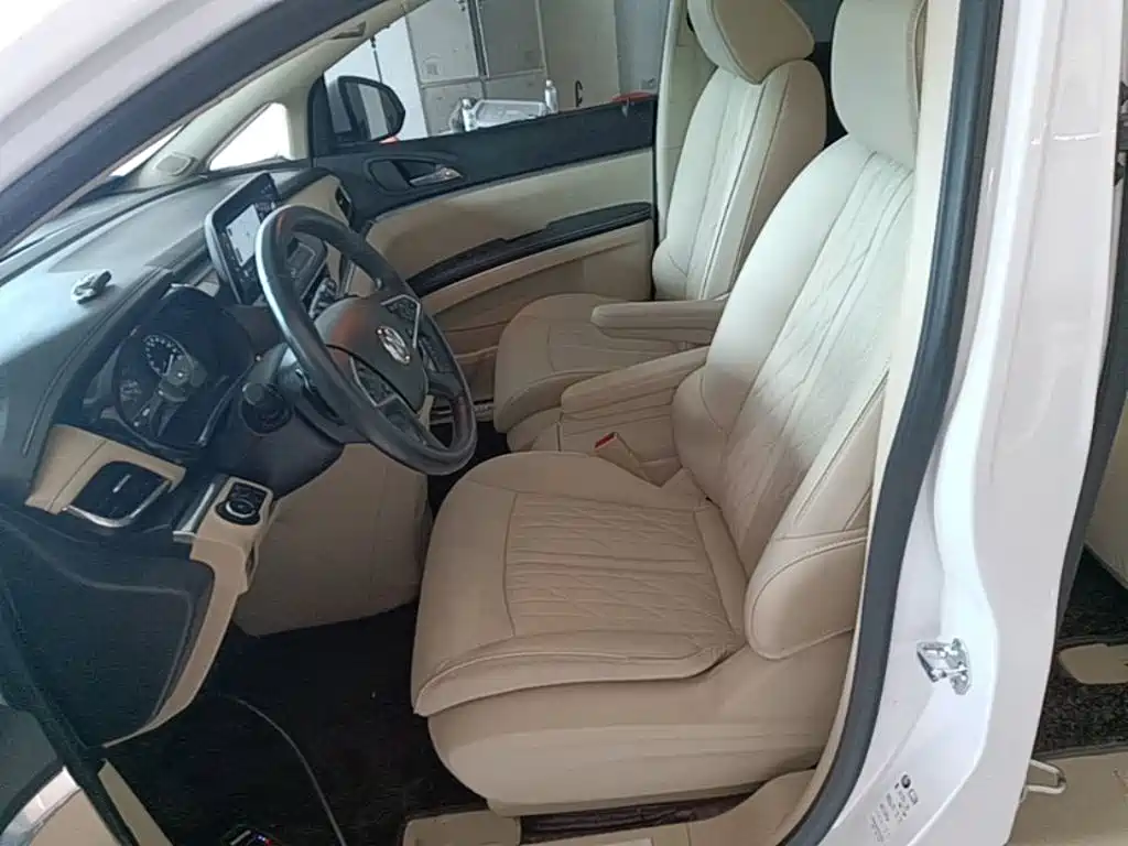 Buick GL8 — миниатюра 15