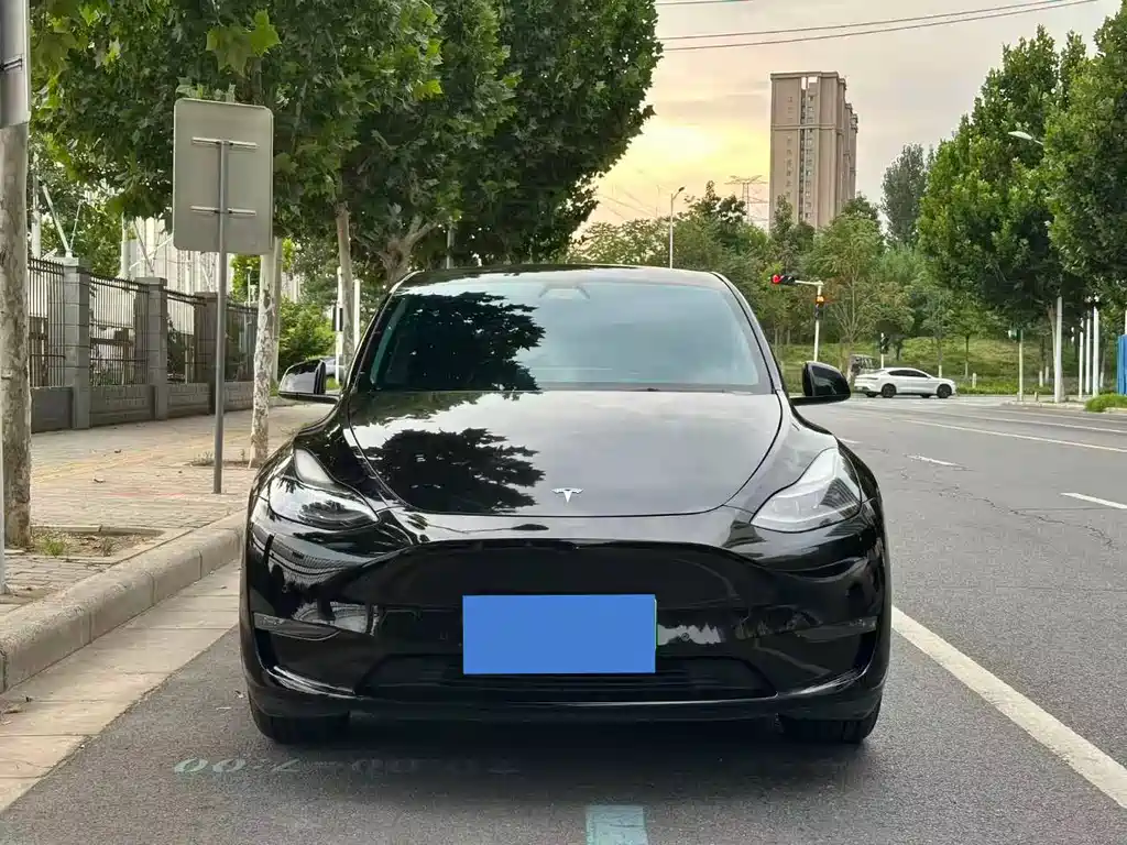 Tesla Model Y — миниатюра 2