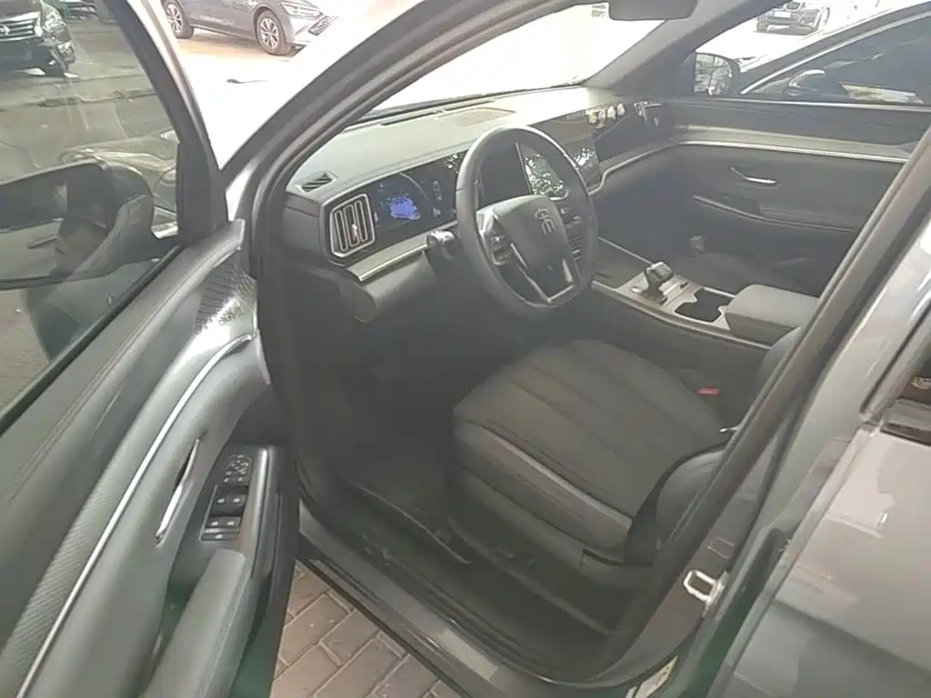BYD Pro New Energy - фото 16