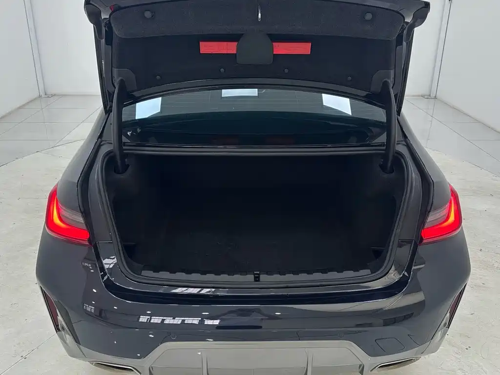 BMW 3 Series — миниатюра 15