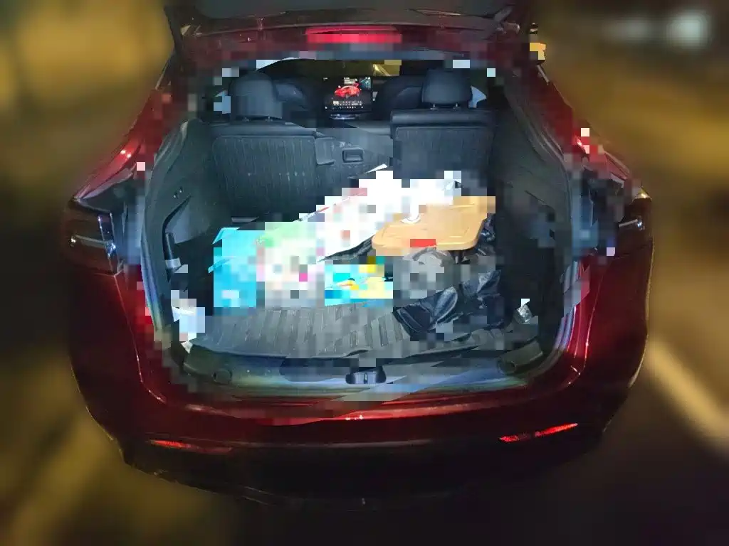 Tesla Model Y — миниатюра 20